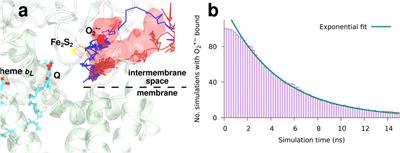 Modeling the Energy Landscape of Side Reactions in the Cytochrome bc1 Complex